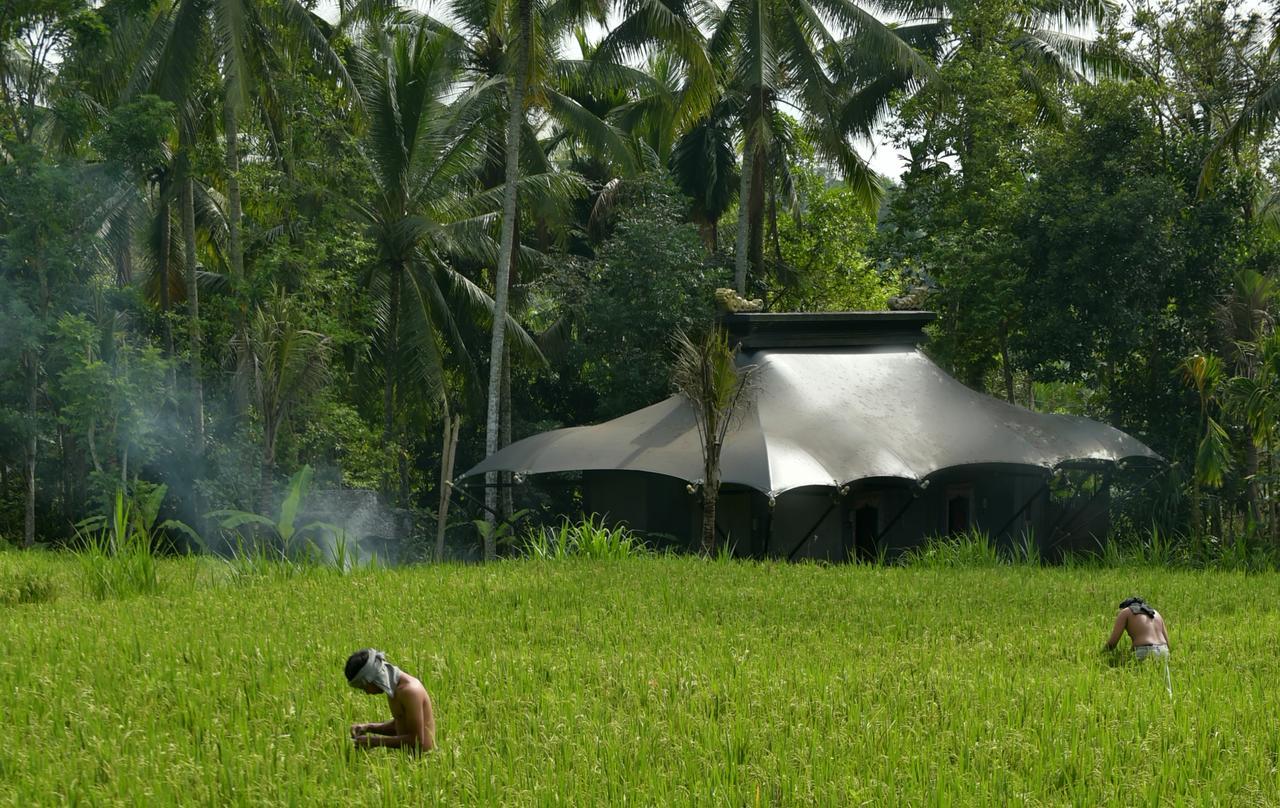 Capella Ubud, Bali Exteriér fotografie